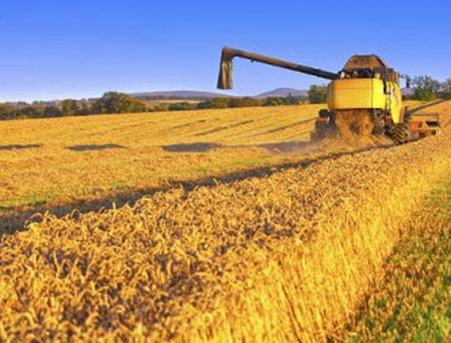 Agronegócio em Sinop