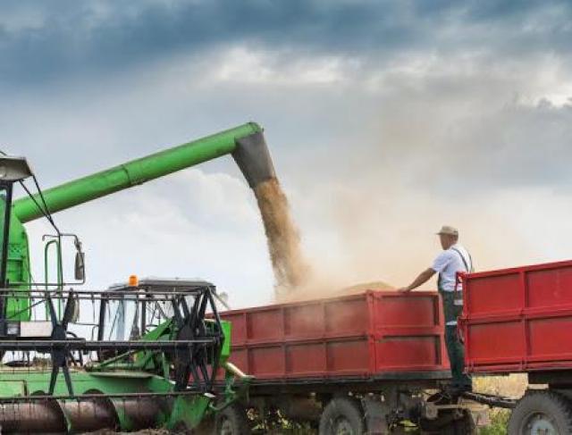 Transportadora em Sinop