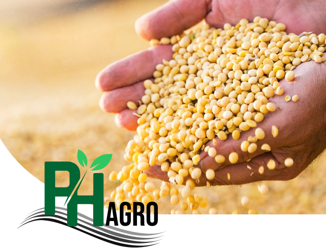 Sobre a PH Agro em Sinop